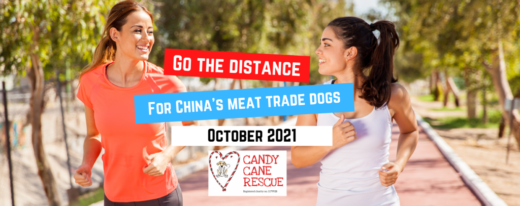 Go the distance for China’s meat trade dogs