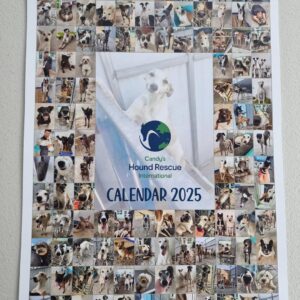 2025 Calendar