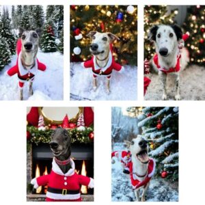 Christmas Cards